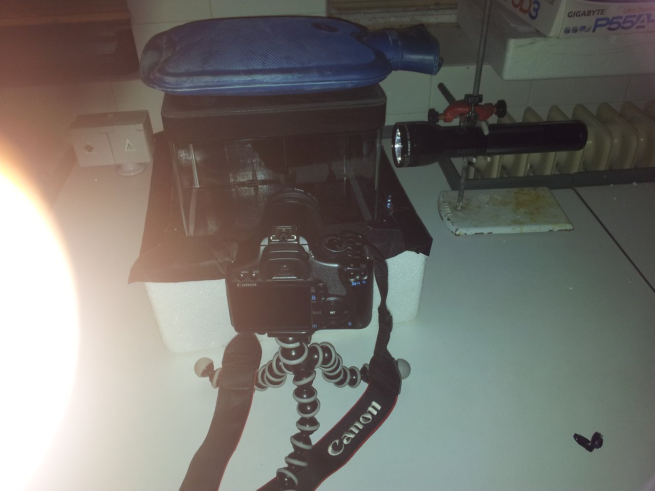 Chamber ready to operate (Sorry for the finger in the picture)