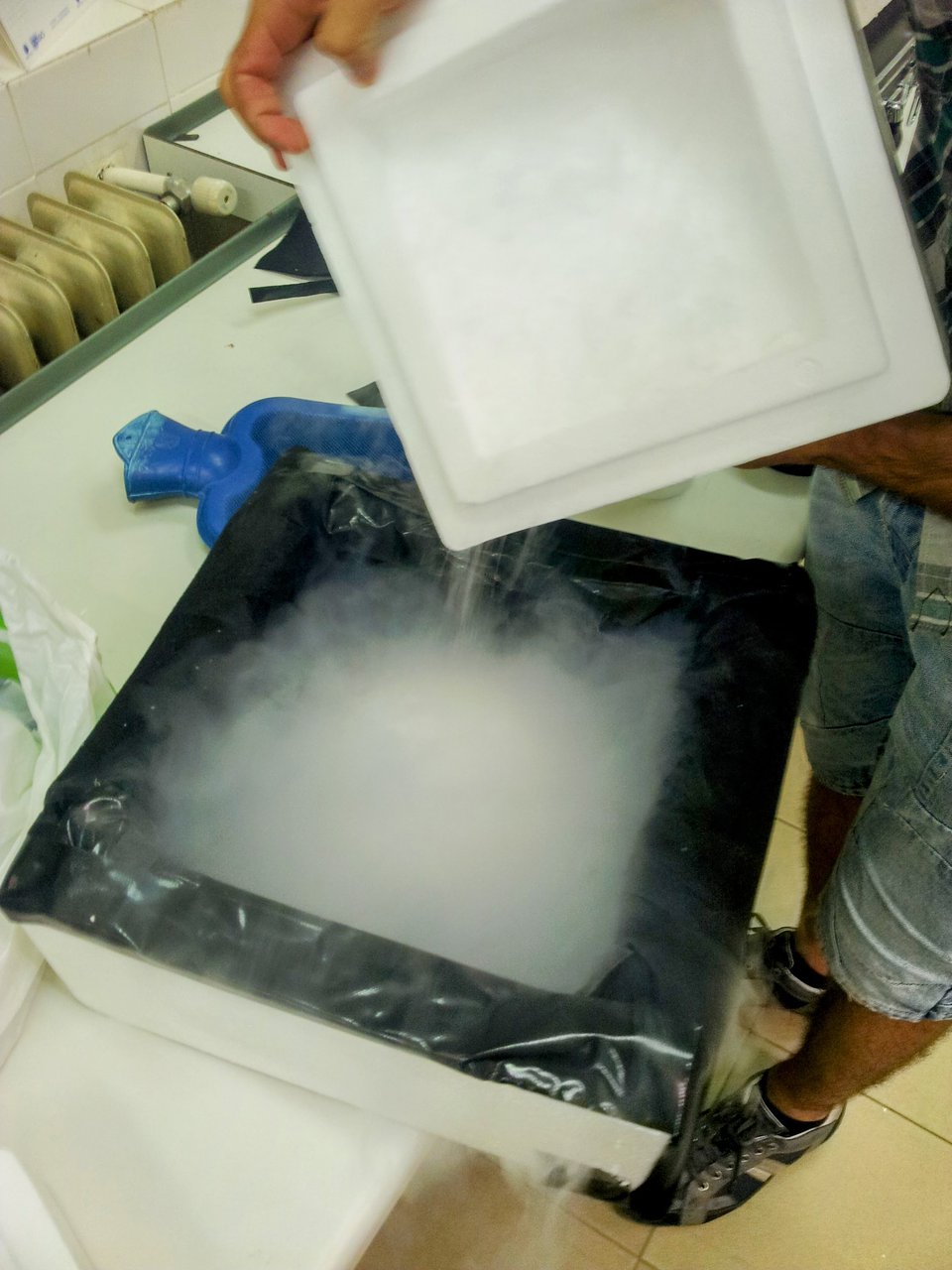 Transfer of dry ice to the insulating box (careful, it burns)
