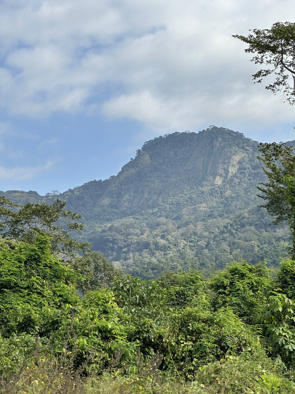 Montañas Udzungwa