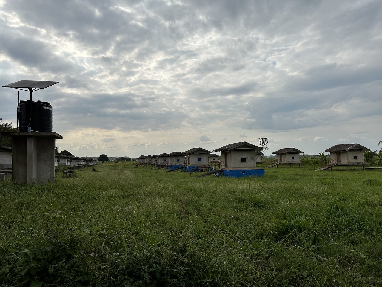 Poblado experimental para el estudio de la transmisión de la malaria