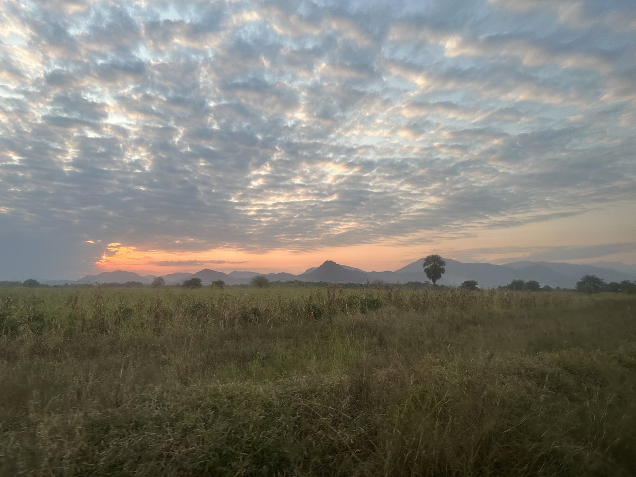 Paisaje espectacular tanzano
